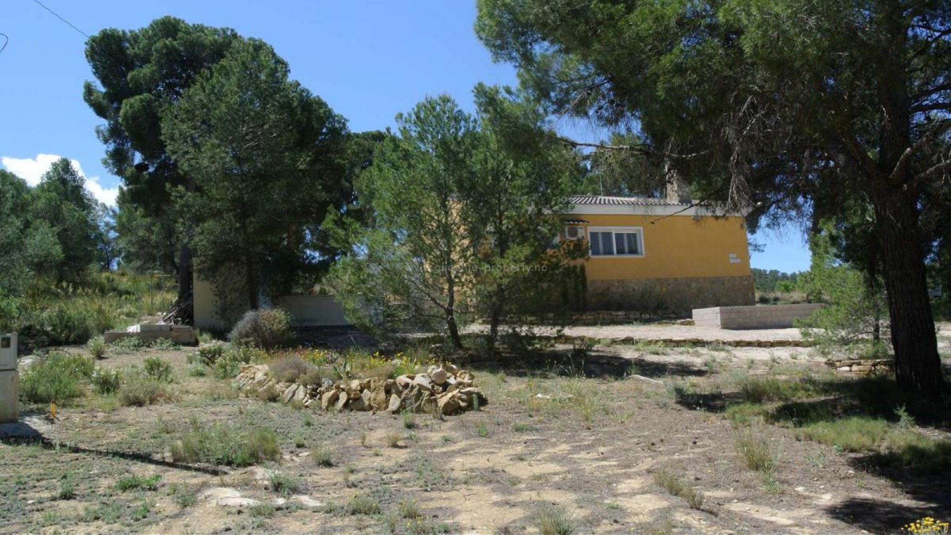 Villa en Jumilla Centro