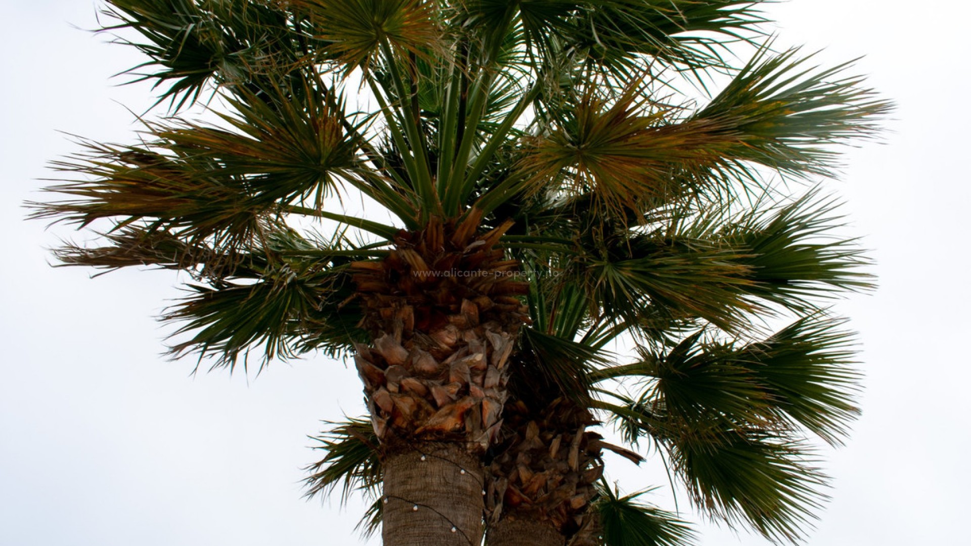 Villa en La Manga Del Mar Menor