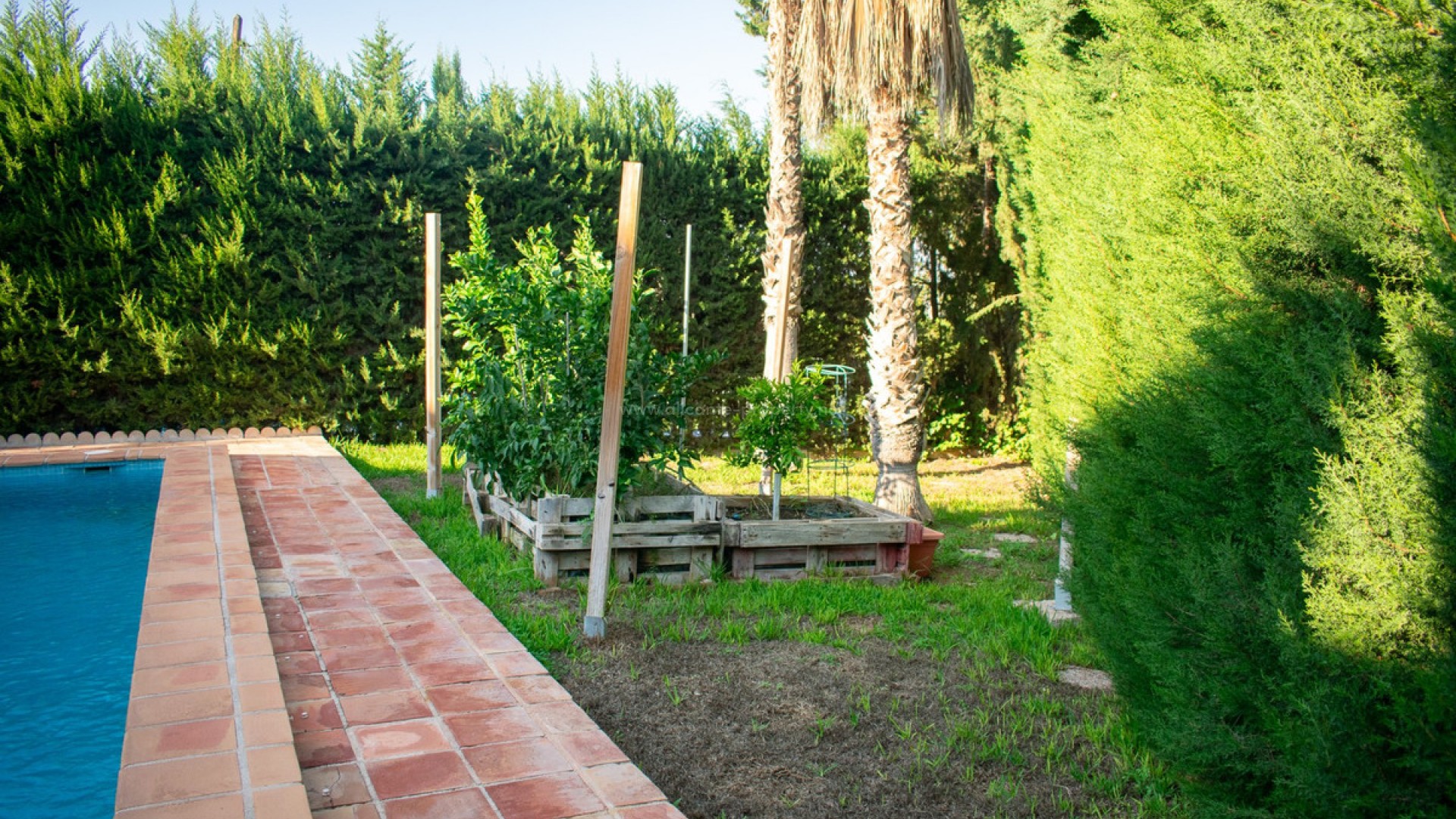 Villa en Molina de Segura Centro