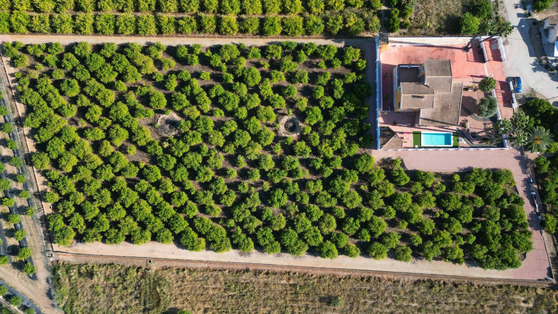 Villa en Orihuela Centro