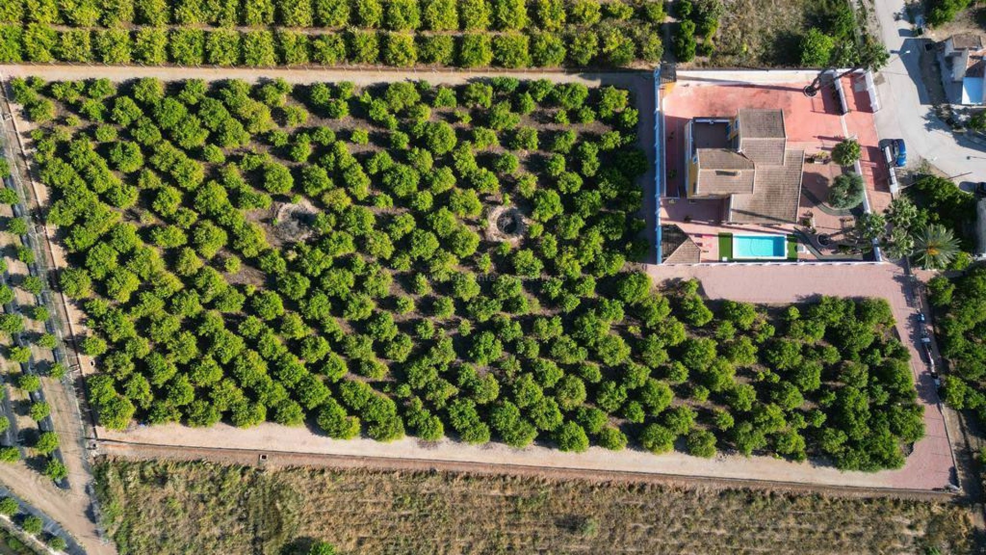 Villa en Orihuela Centro