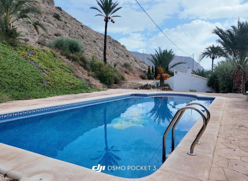 Villa en Orihuela Centro