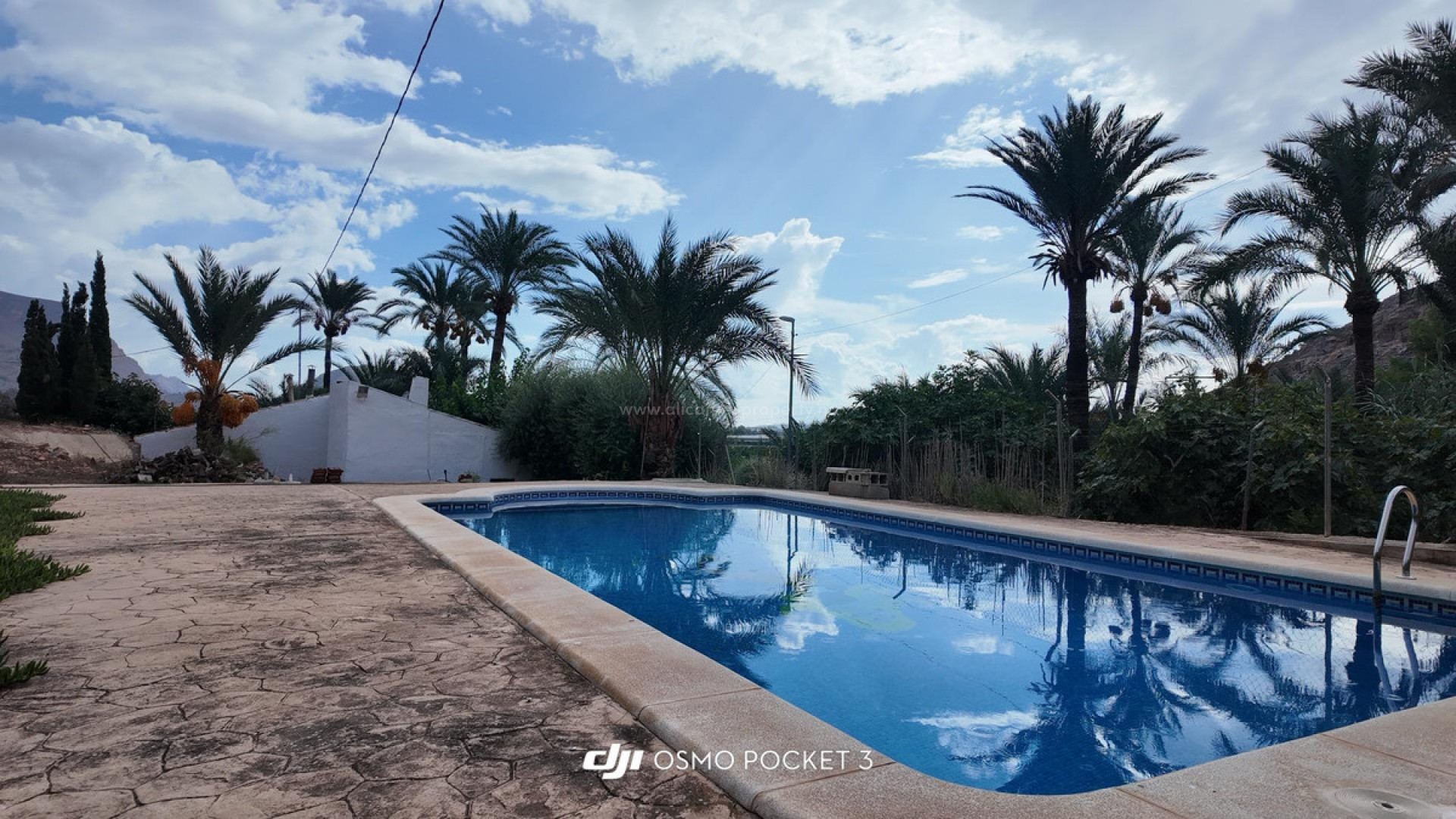 Villa en Orihuela Centro