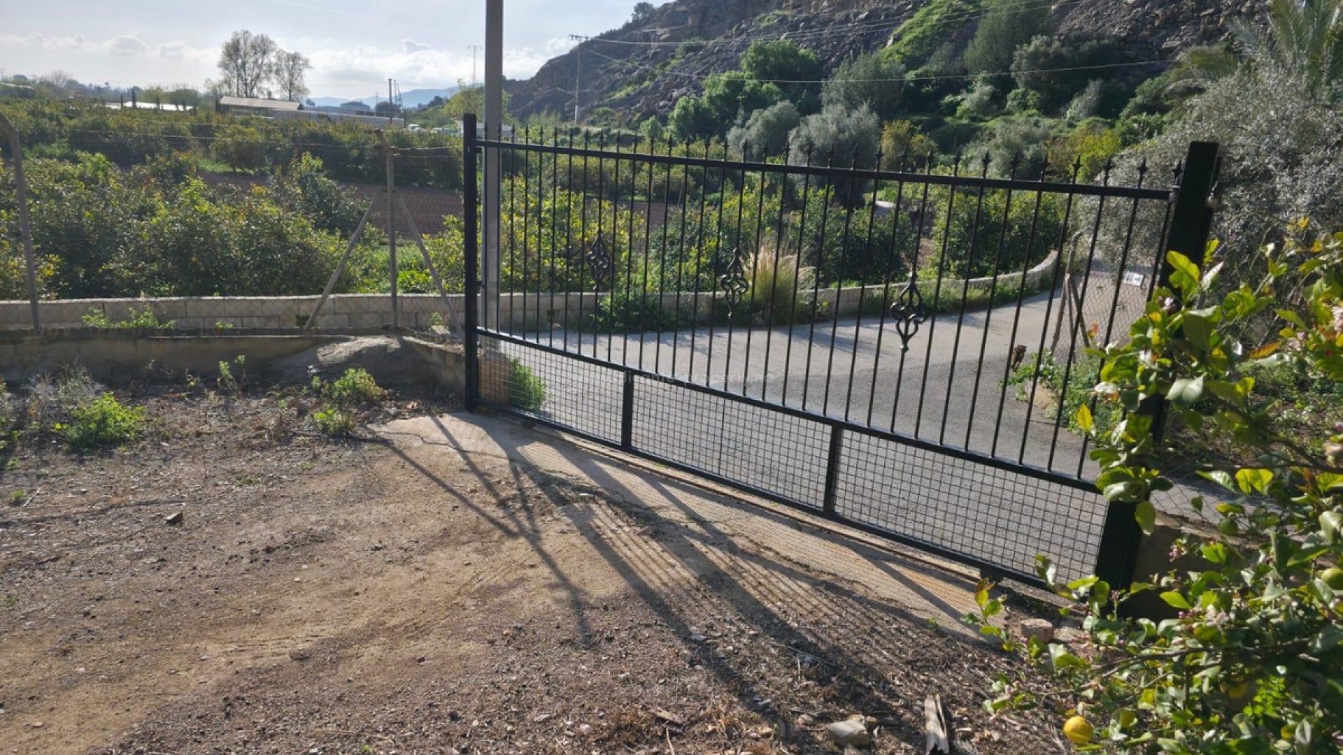 Villa en Orihuela Centro