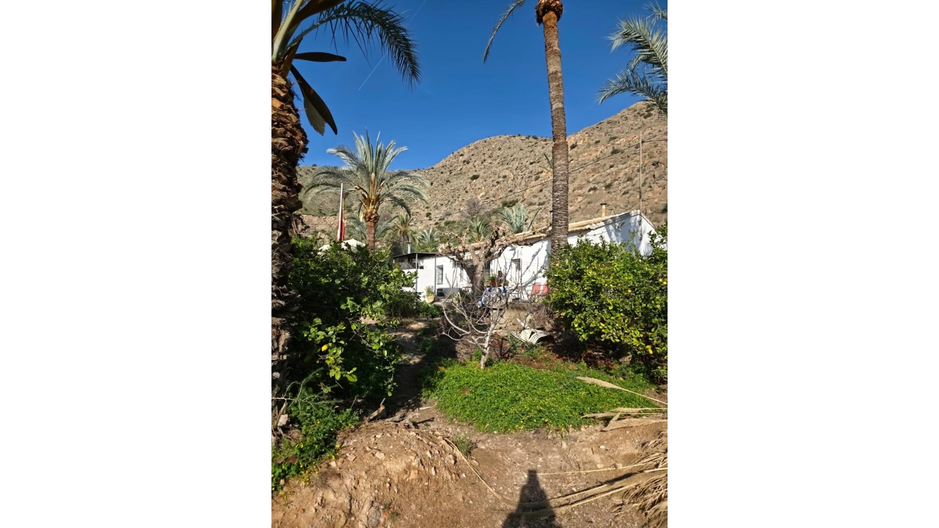 Villa en Orihuela Centro