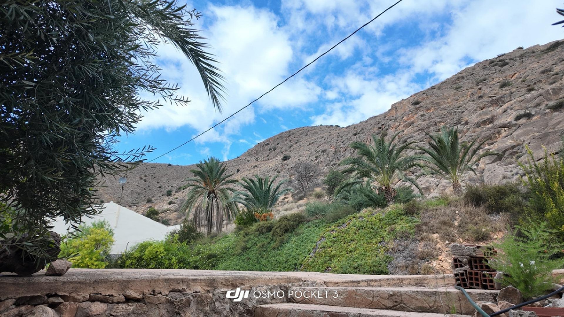 Villa en Orihuela Centro