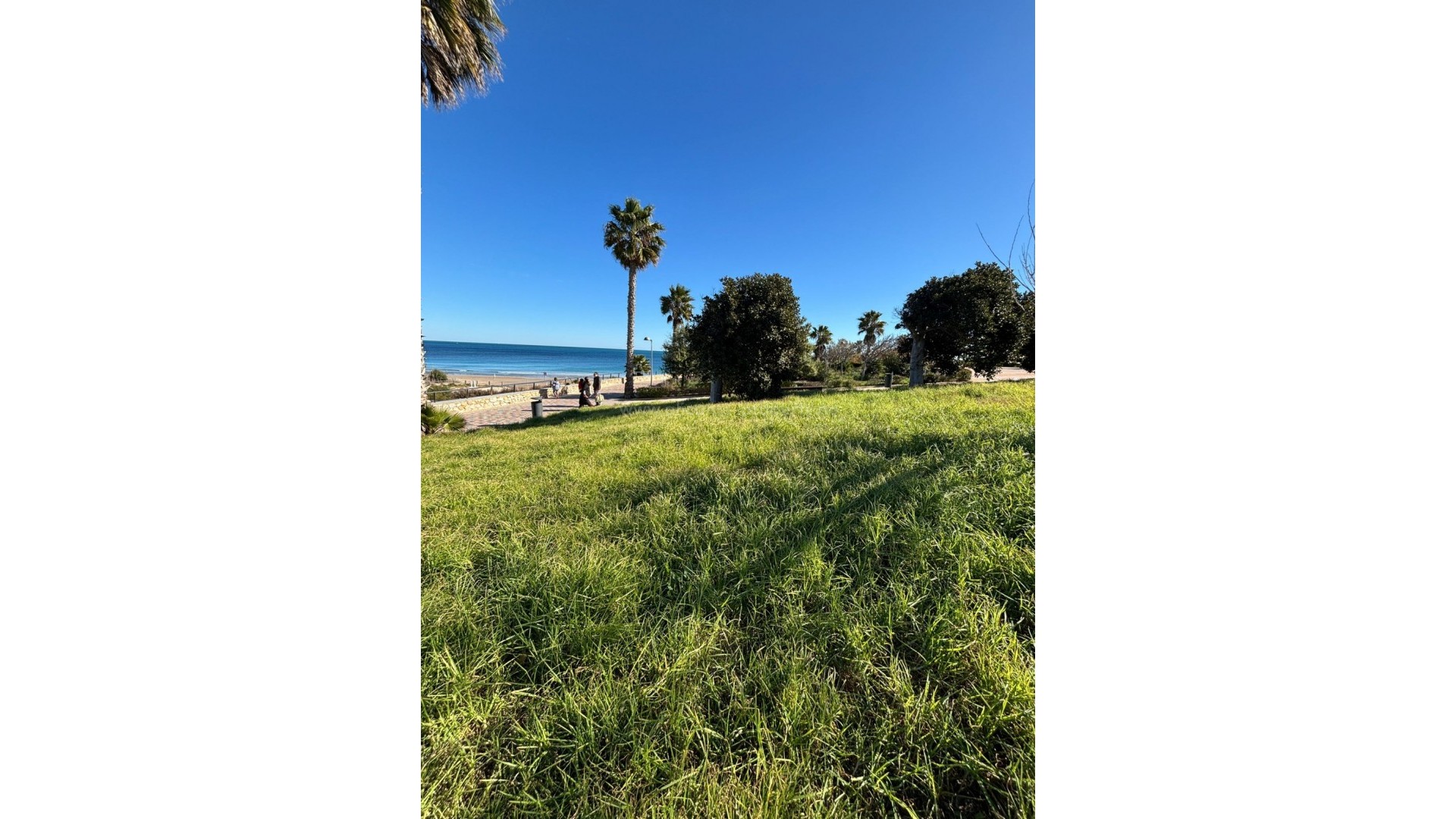 Villa en Pilar de la Horadada Centro