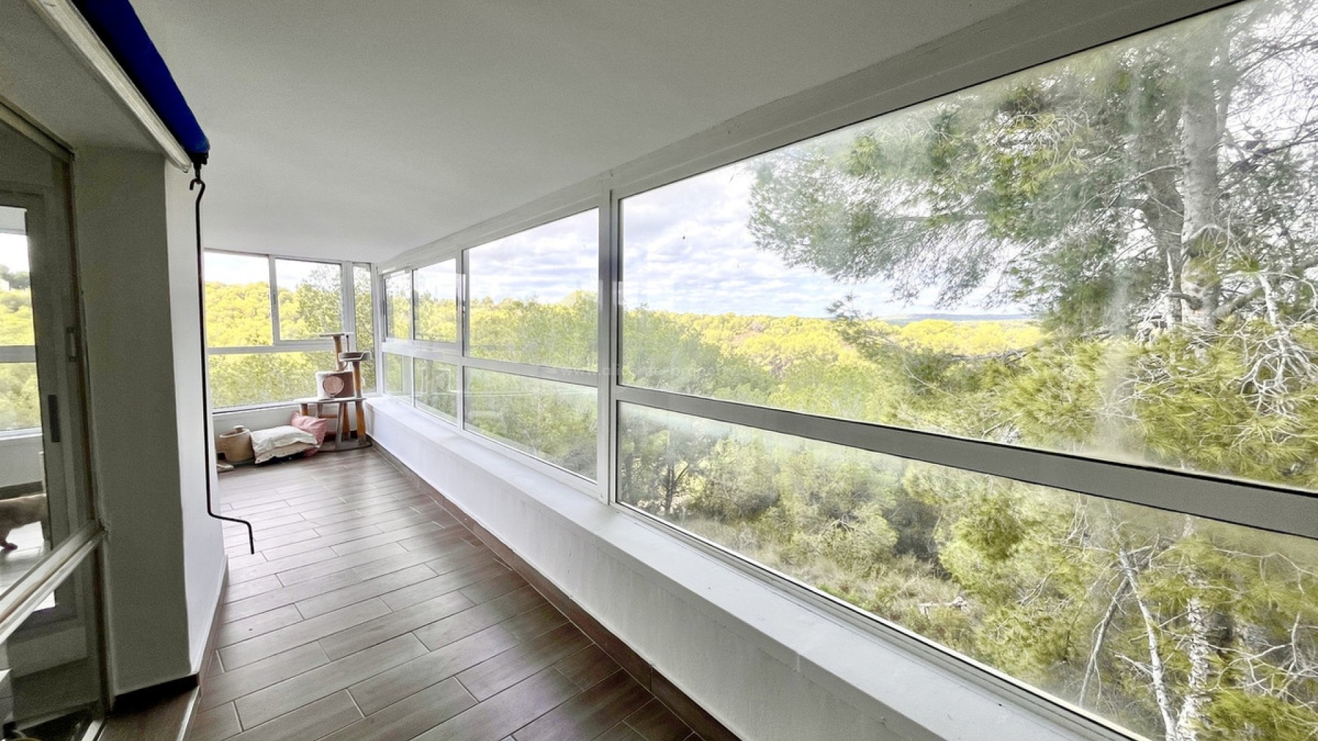 Villa en Pinar de Campoverde
