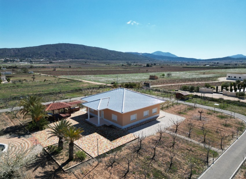 Villa en Pinoso Centro