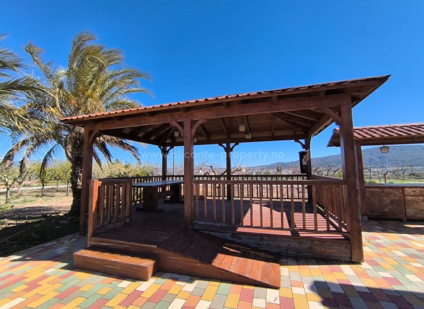 Villa en Pinoso Centro