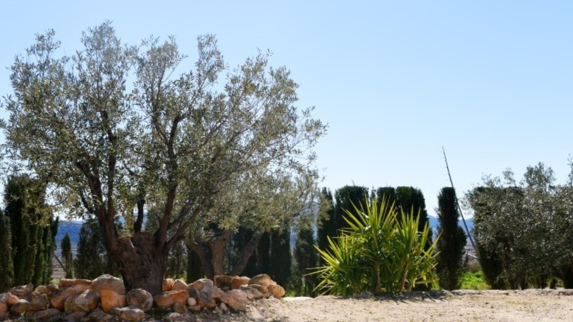 Villa en Pinoso Centro