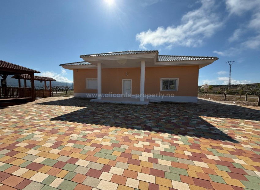Villa en Pinoso Centro