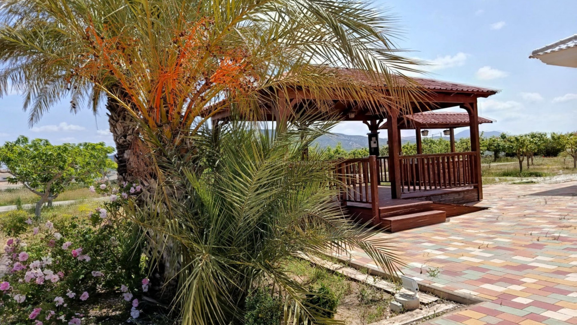 Villa en Pinoso Centro