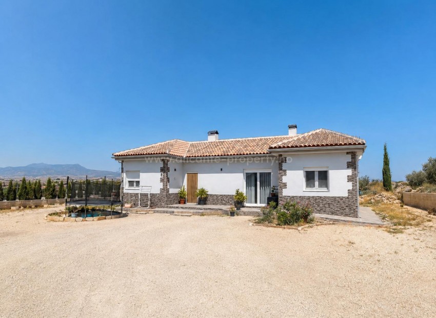 Villa en Pinoso Centro