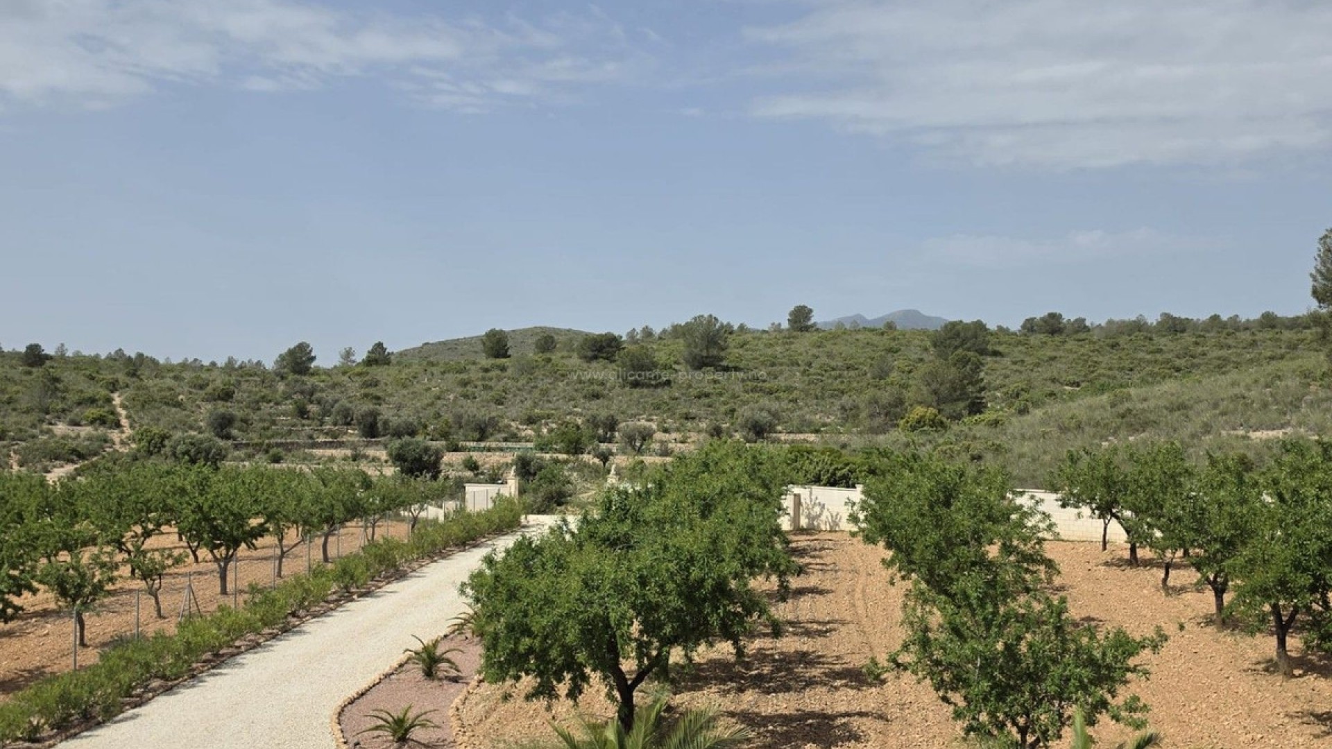 Villa en Pinoso Centro