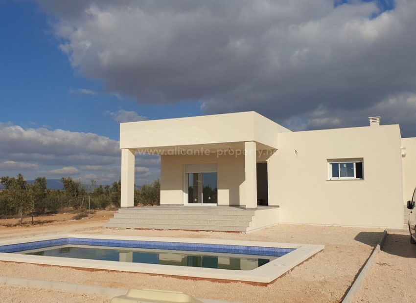 Villa en Pinoso Centro