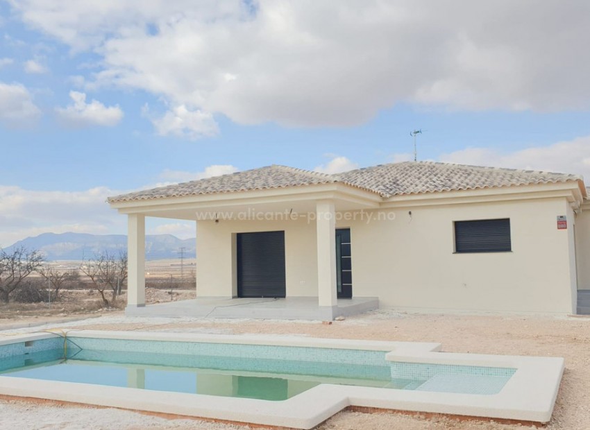 Villa en Pinoso Centro