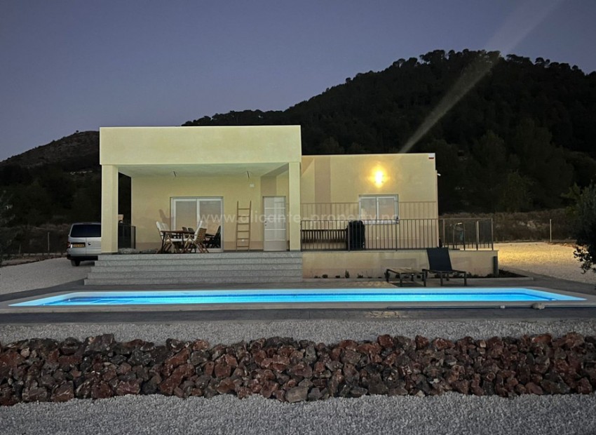 Villa en Pinoso Centro