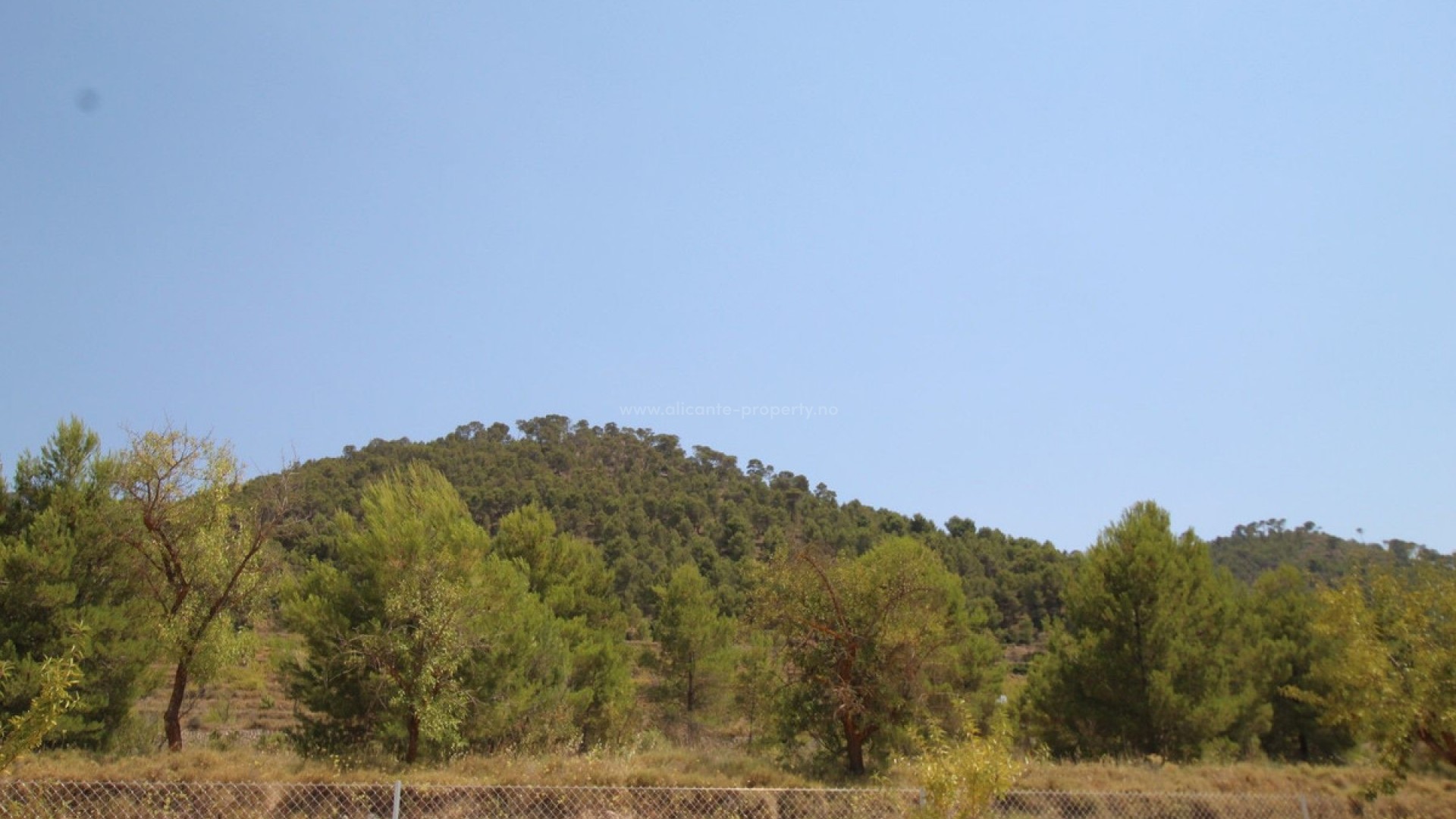 Villa en Pinoso Centro