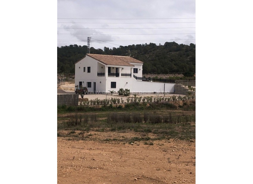 Villa en Pinoso Centro
