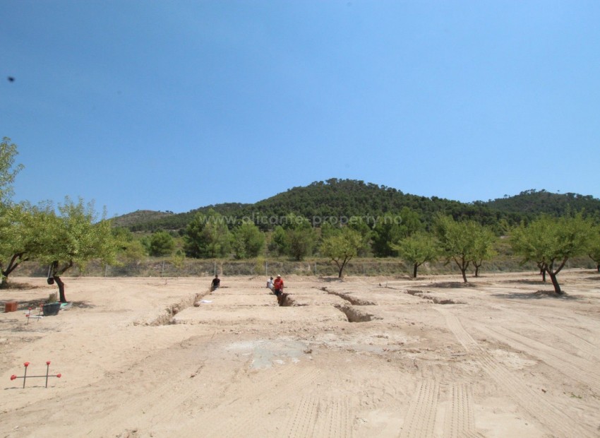 Villa en Pinoso Centro