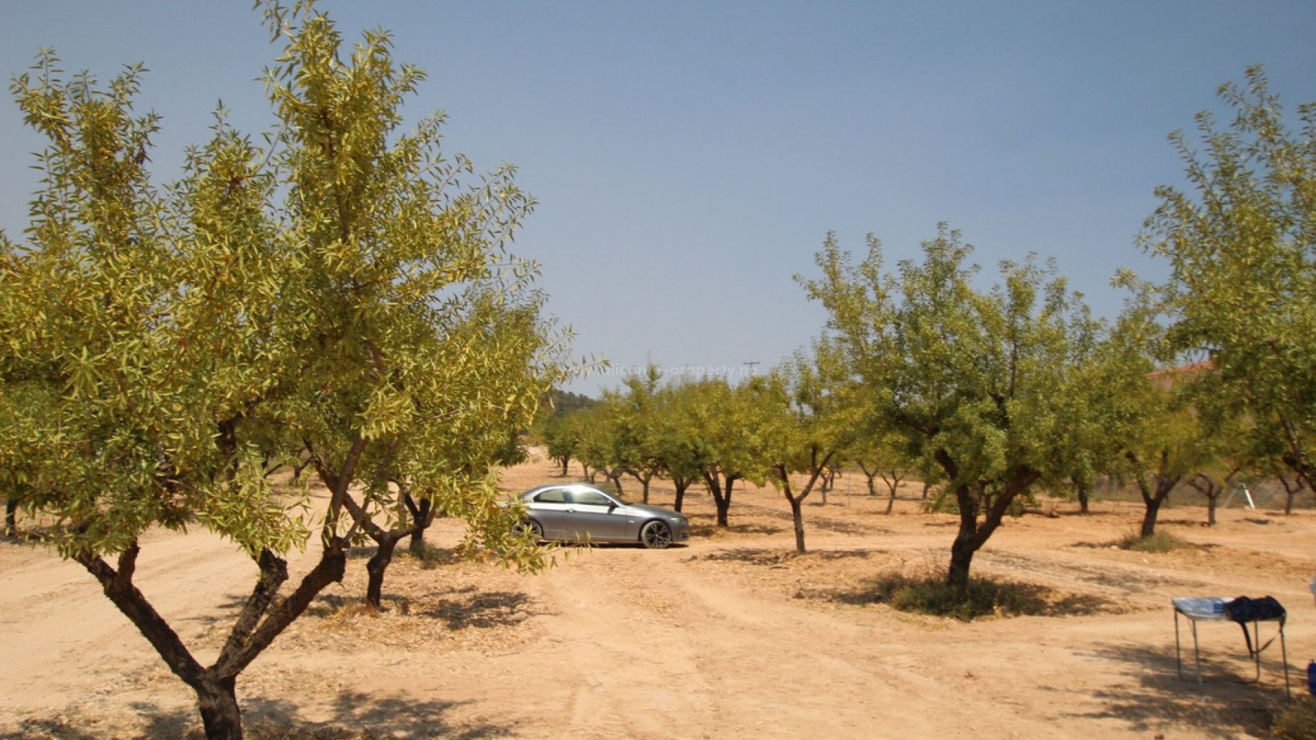 Villa en Pinoso Centro