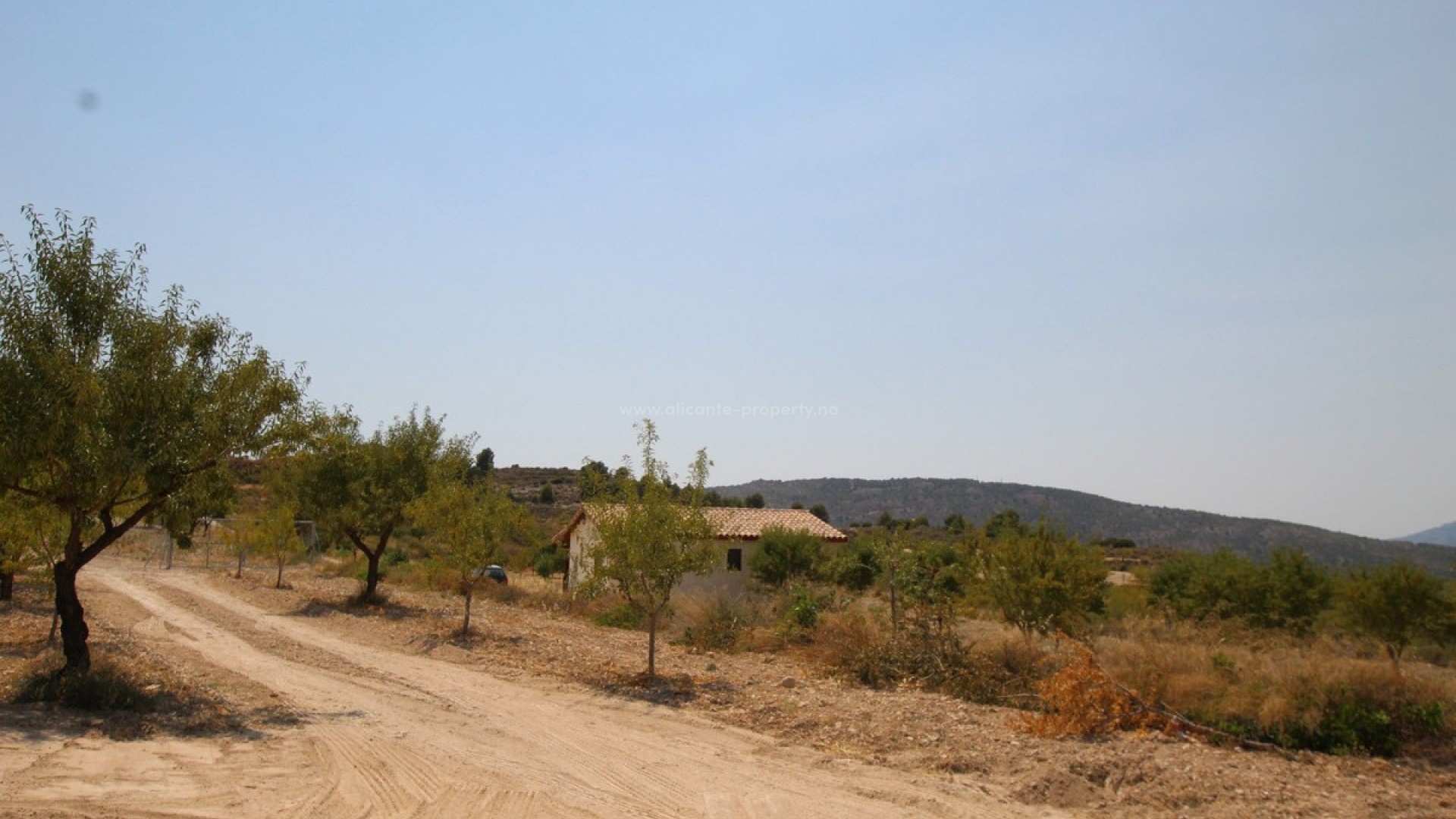 Villa en Pinoso Centro