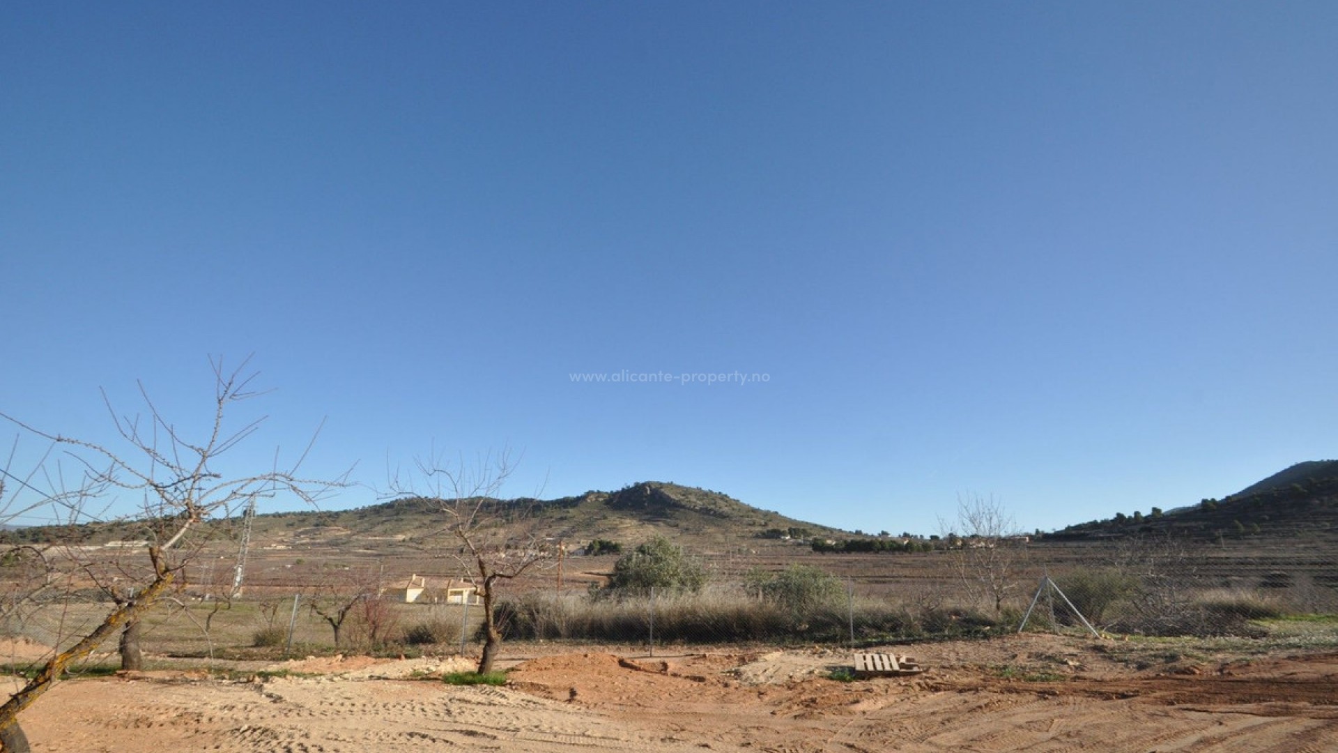 Villa en Pinoso Centro