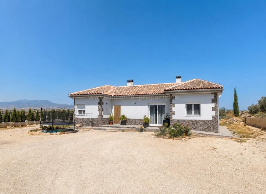 Villa en Pinoso Centro