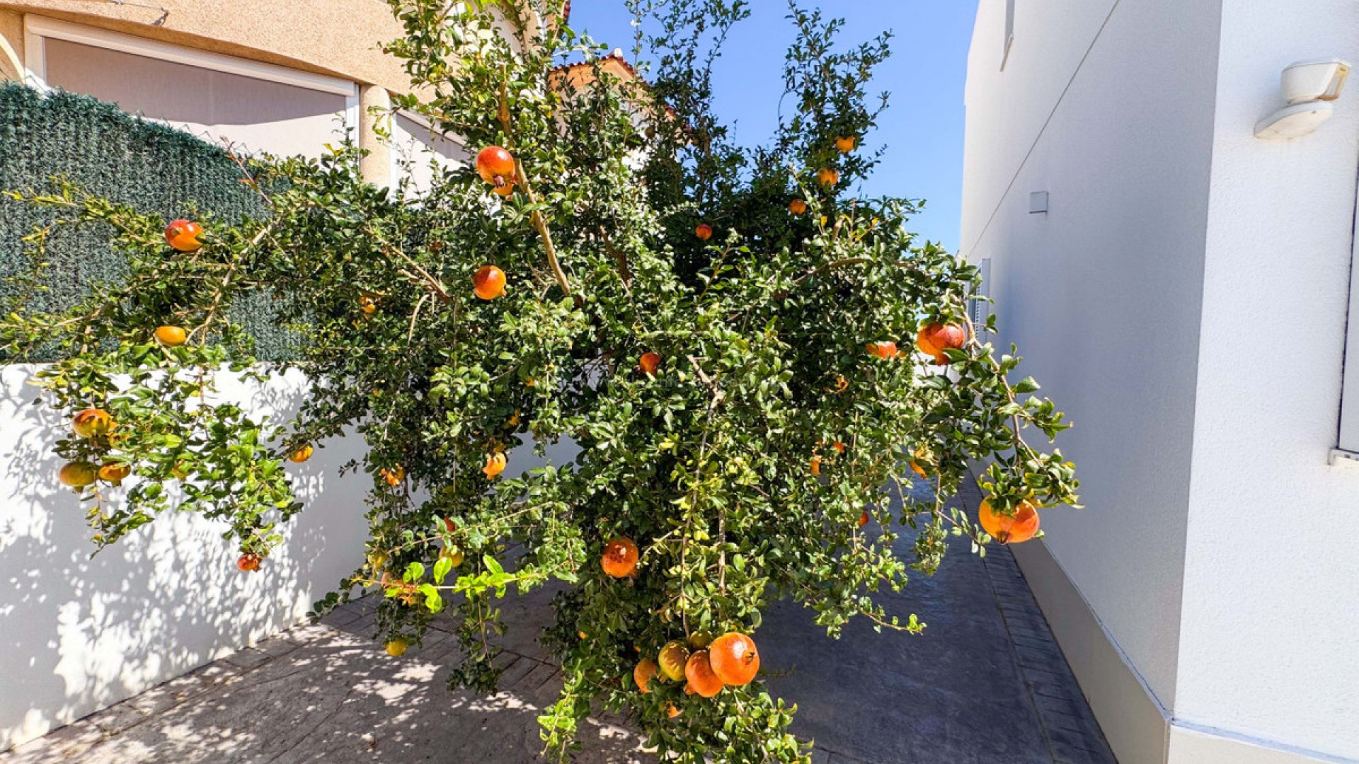 Villa en San Fulgencio Centro