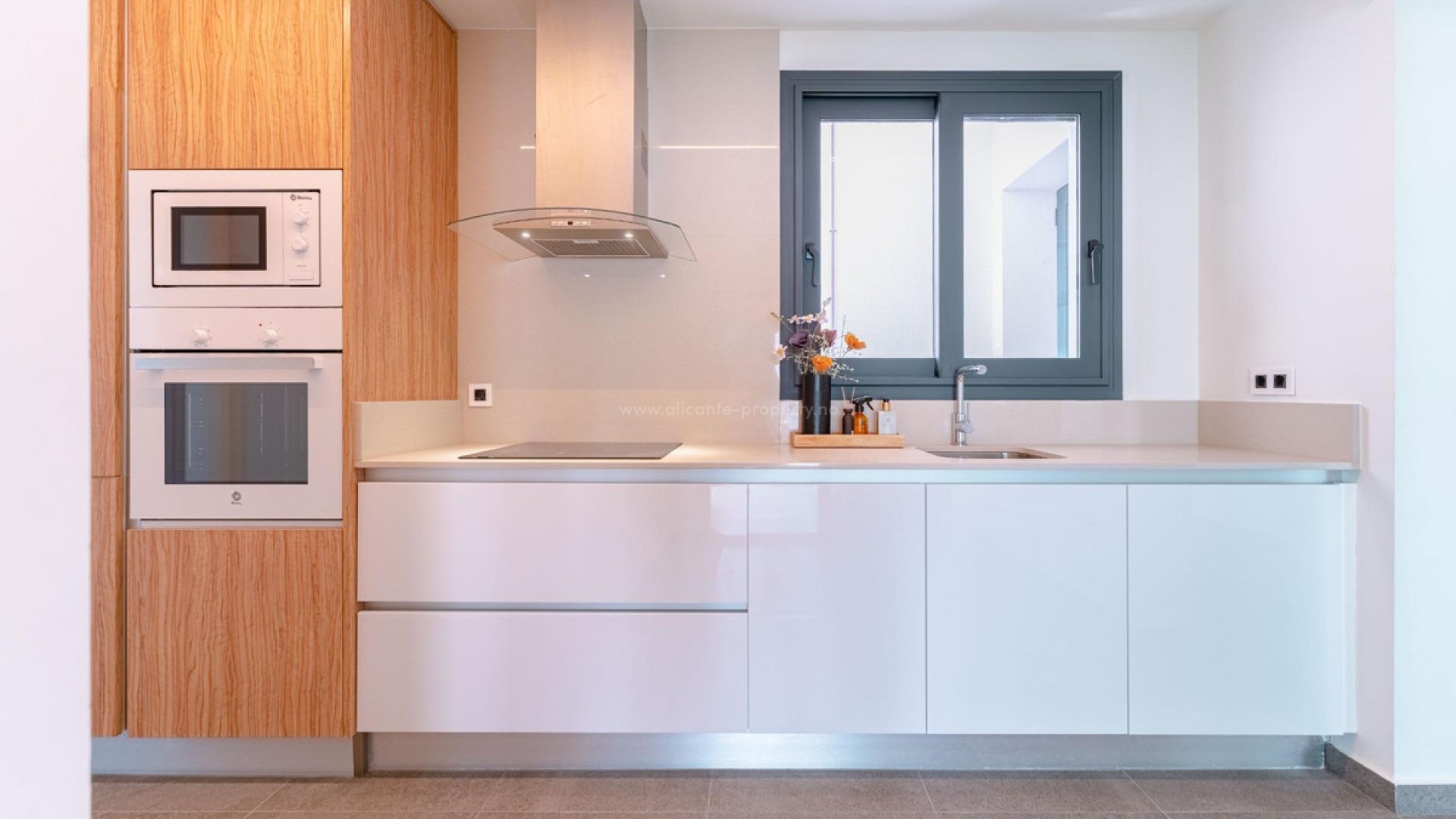 Villa en San Miguel de Salinas Centro