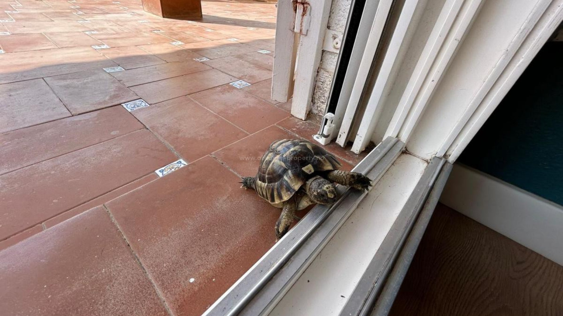 Villa en San Miguel de Salinas Centro