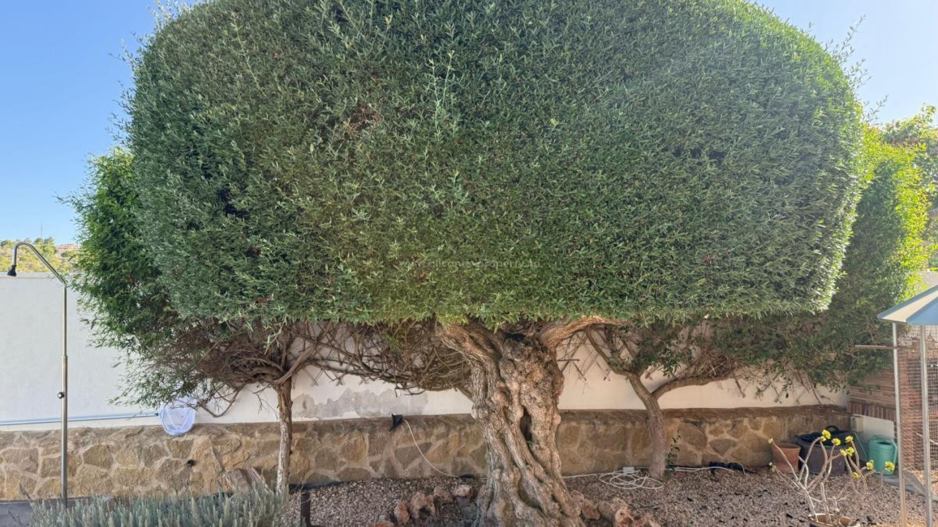 Villa en San Miguel de Salinas Centro