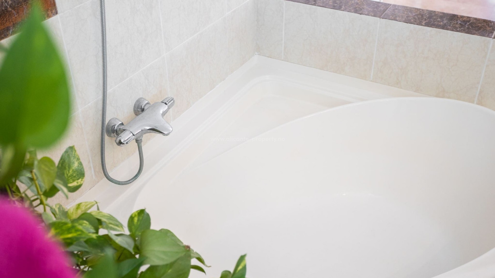 Villa en Torrevieja Centro