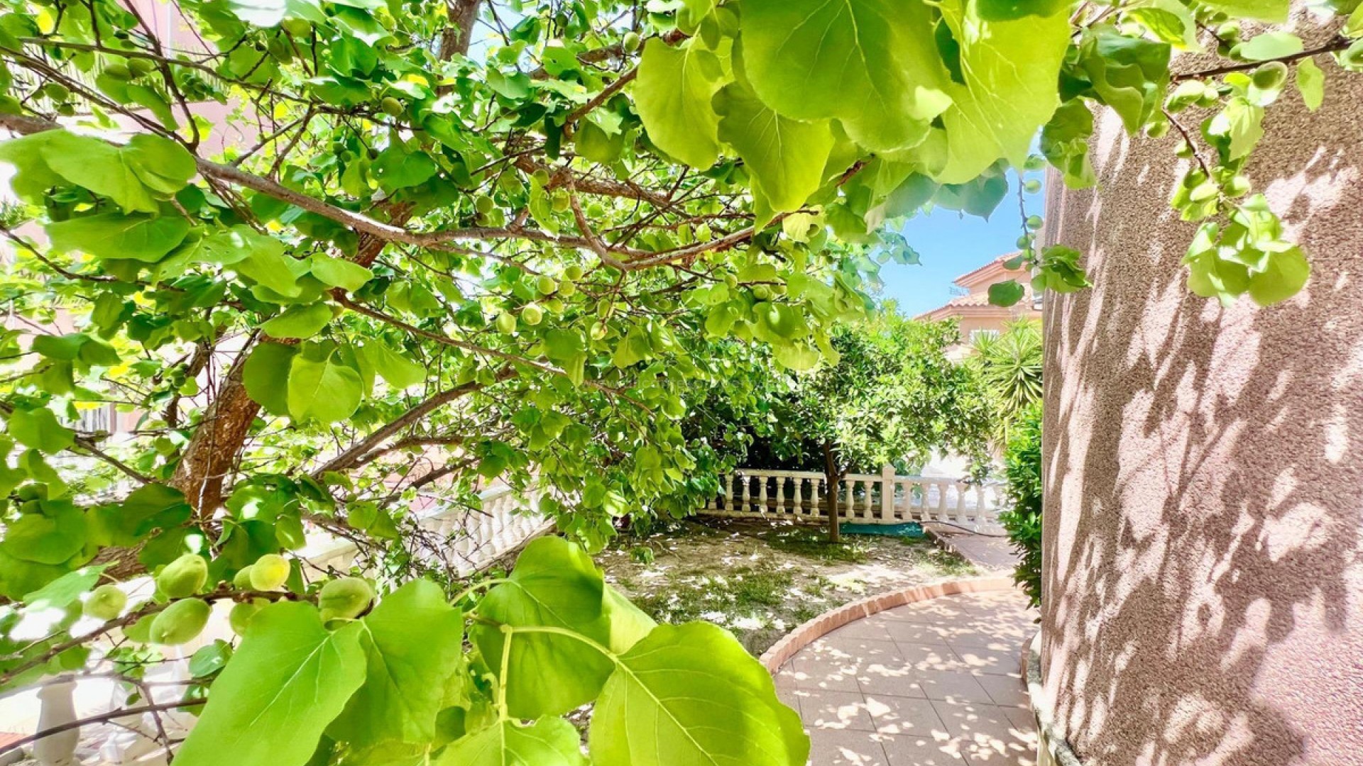 Villa en Torrevieja Centro