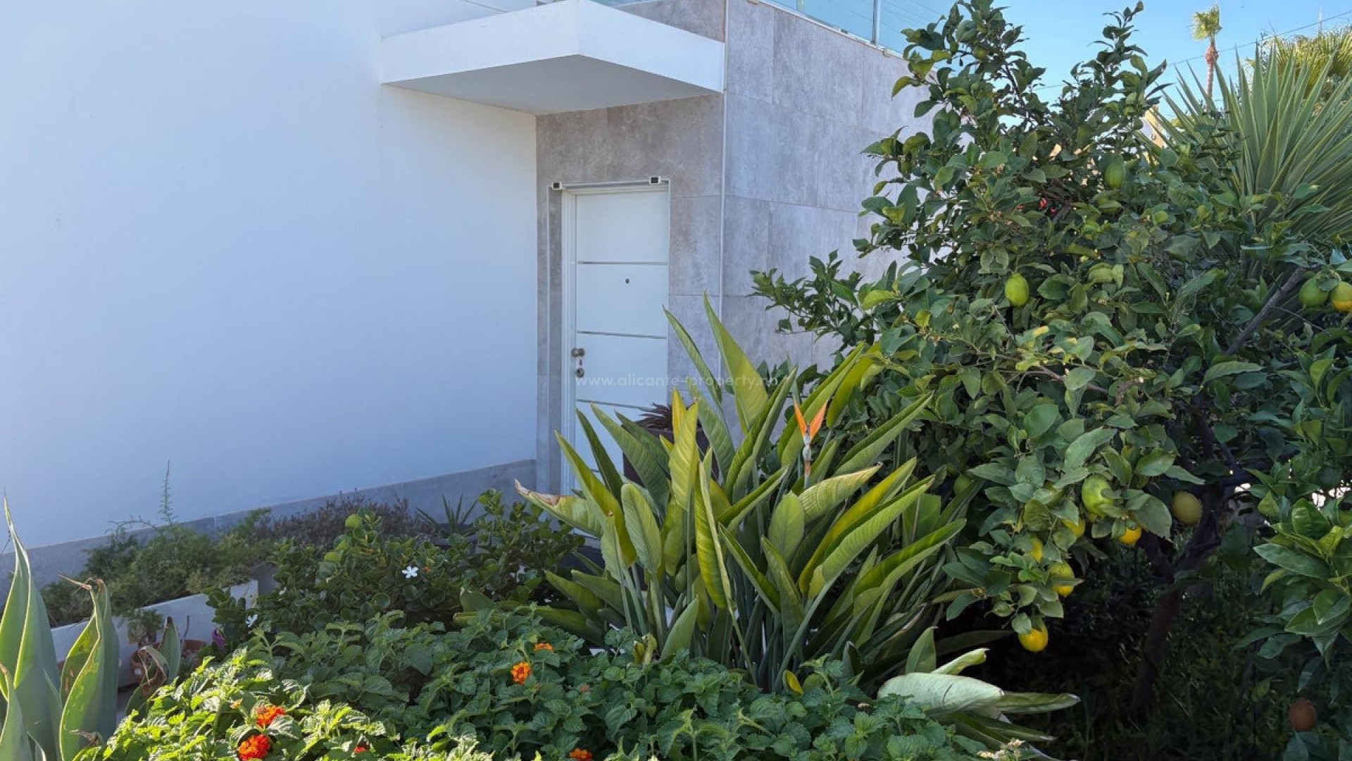Villa en Torrevieja Centro
