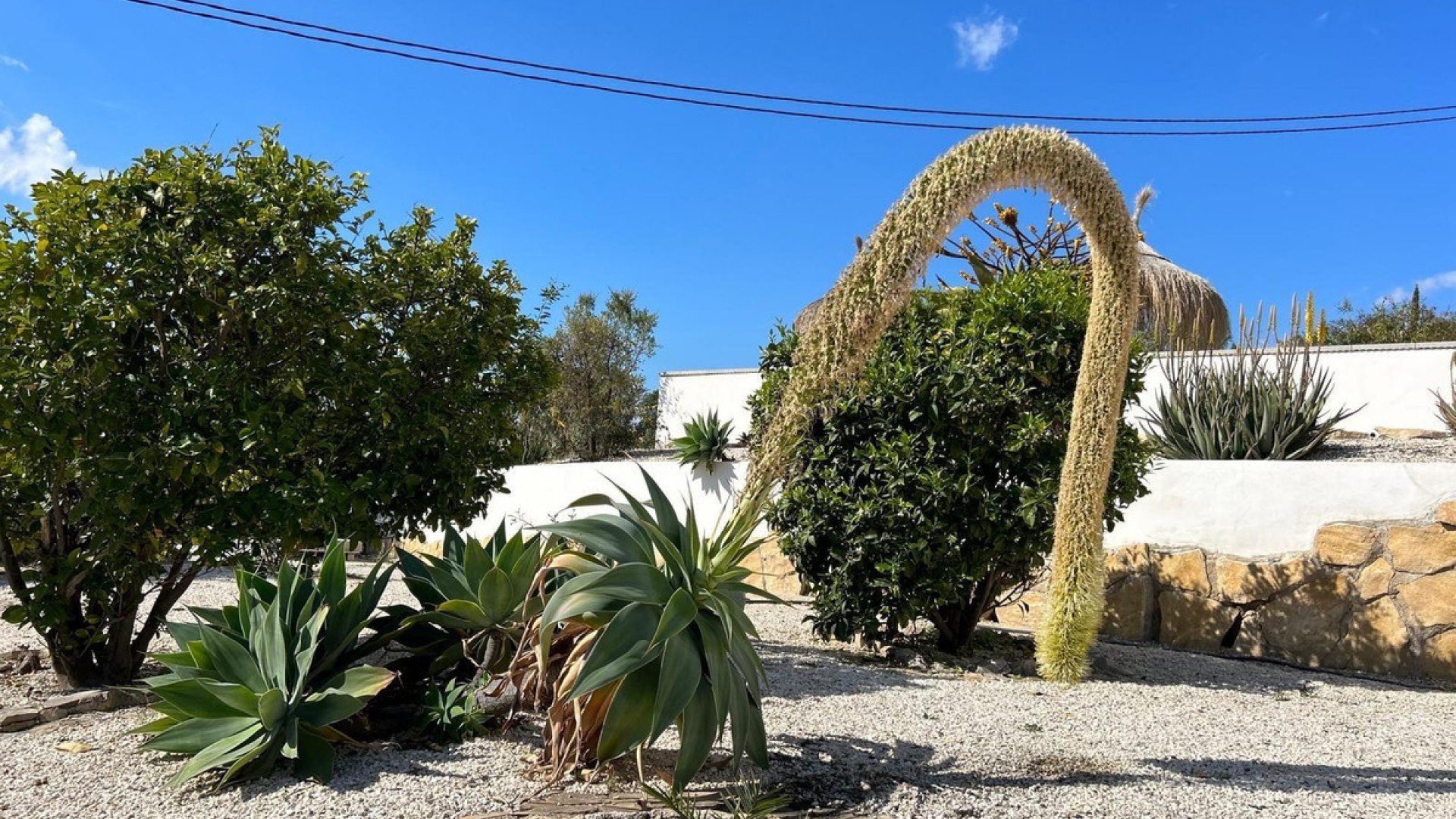 Villa en Villajoyosa Centro