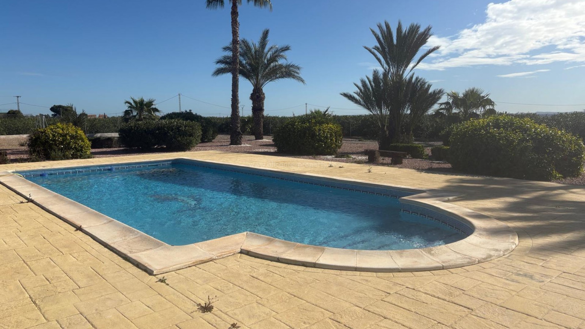 Villa in Albatera Centro