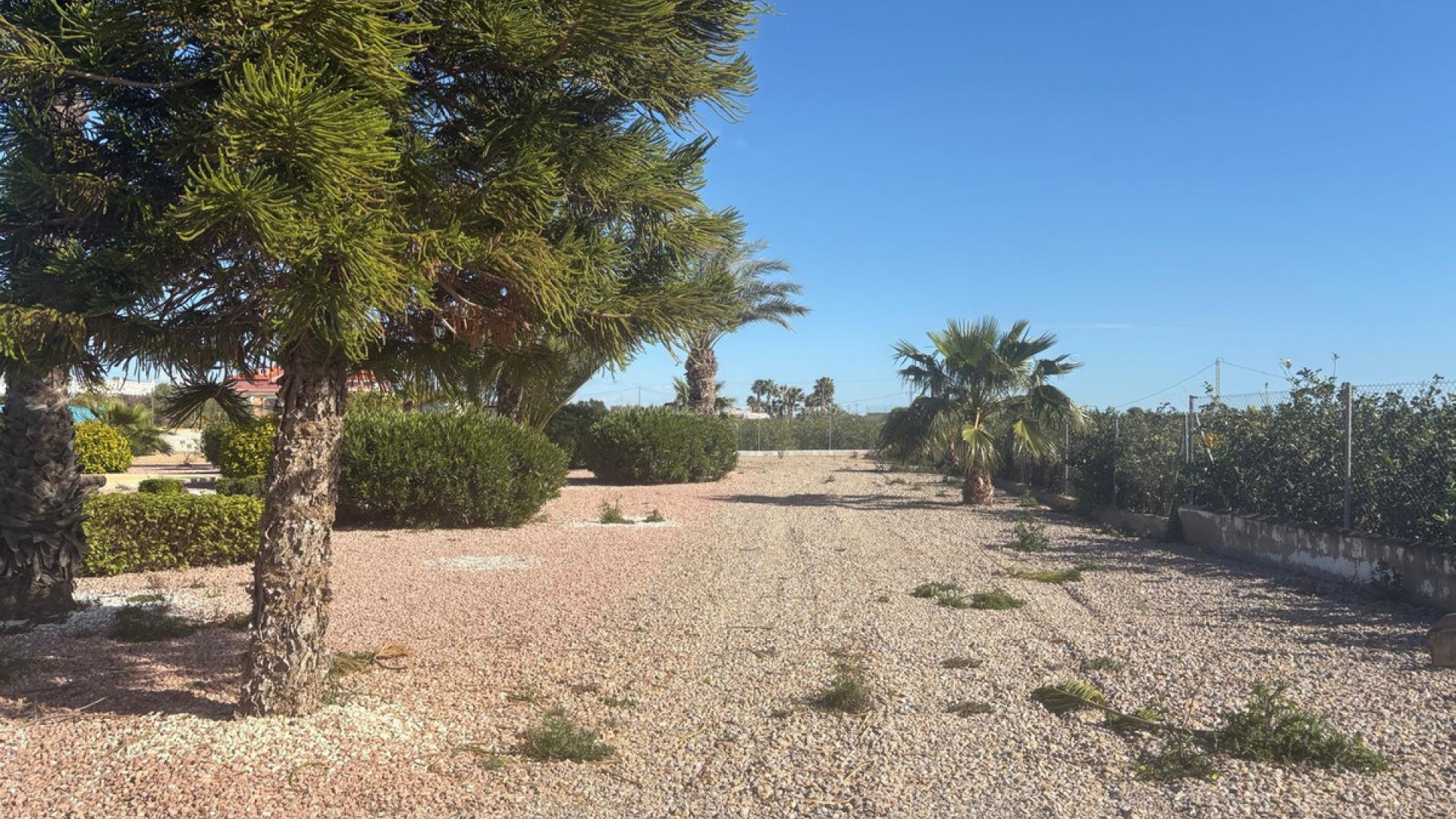 Villa in Albatera Centro