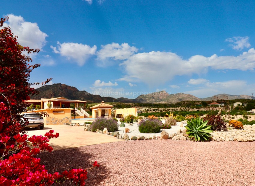 Villa in Albatera Centro