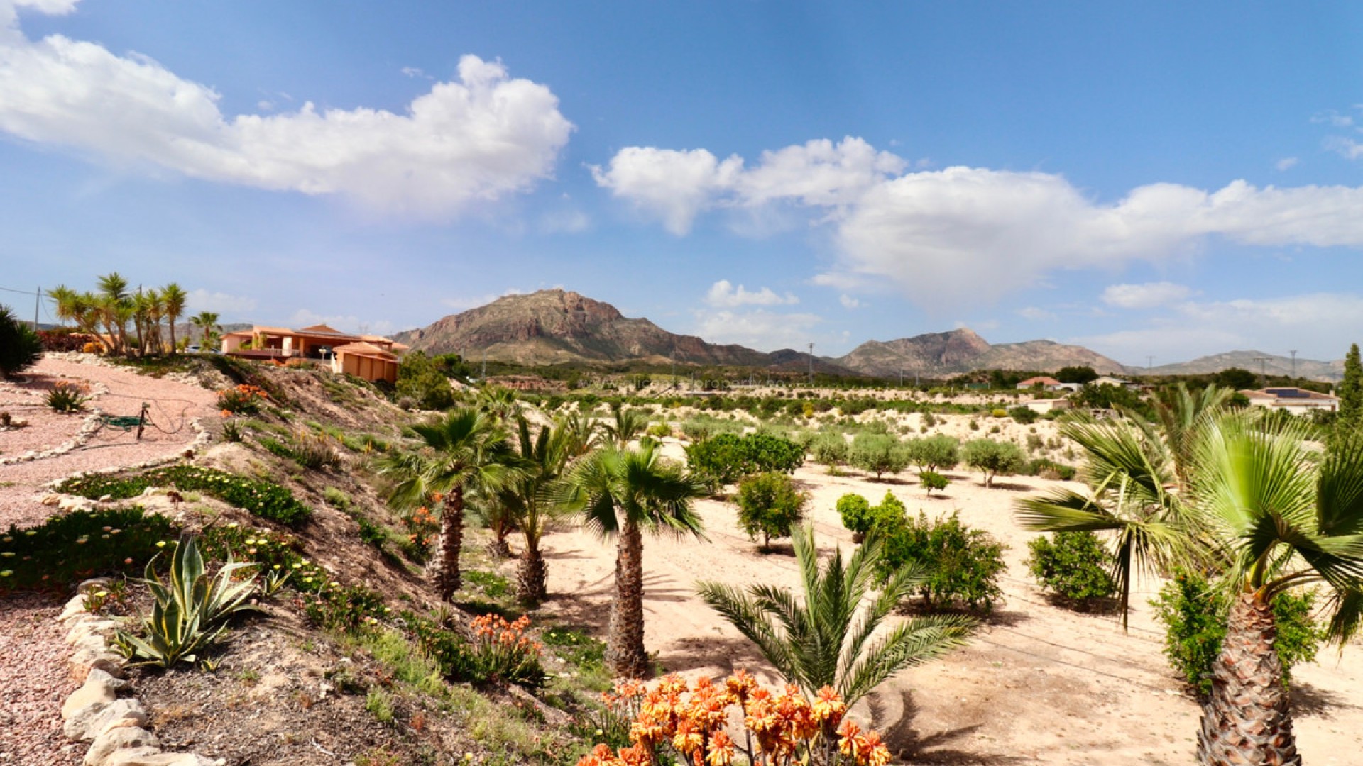 Villa in Albatera Centro