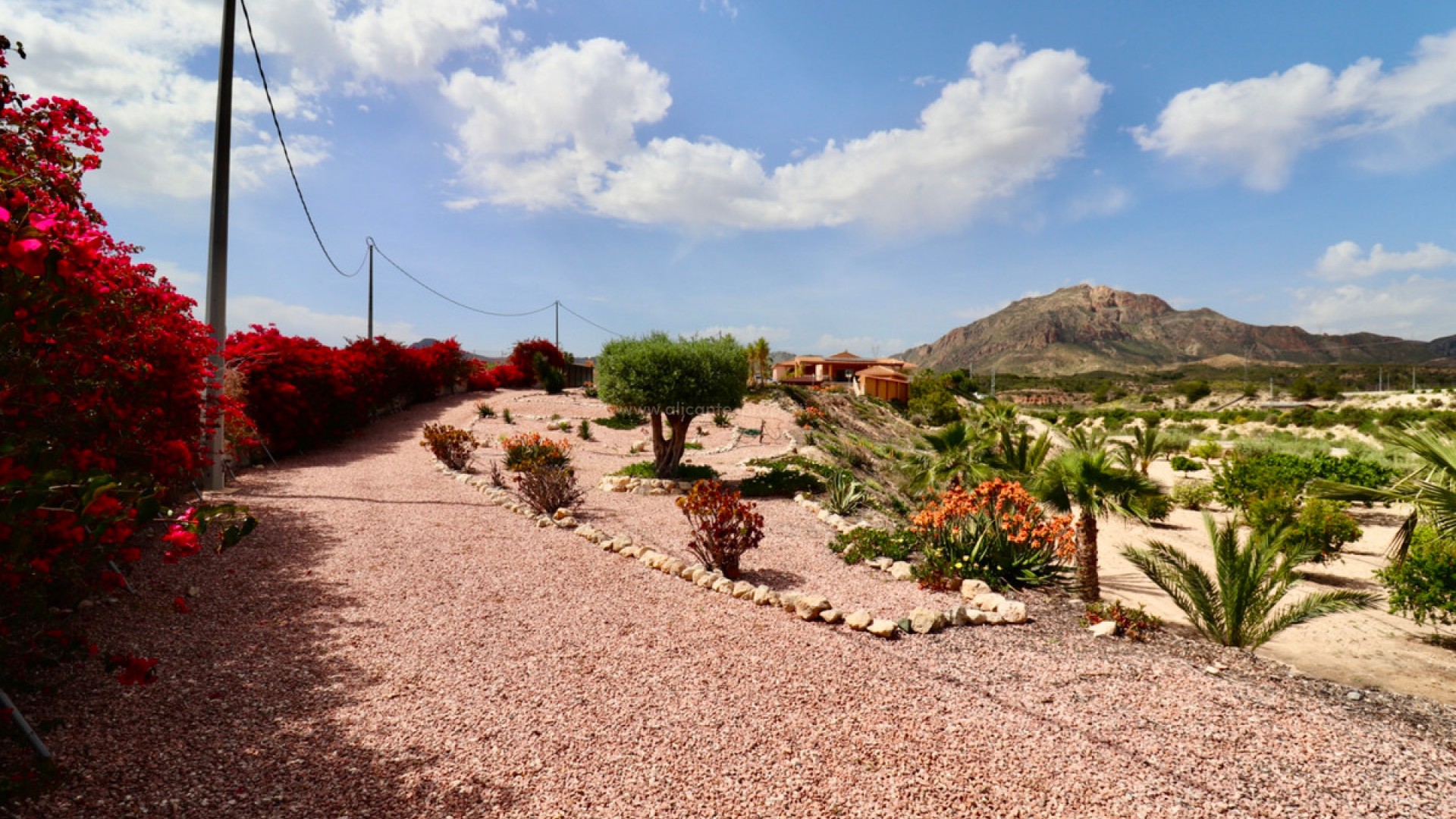 Villa in Albatera Centro