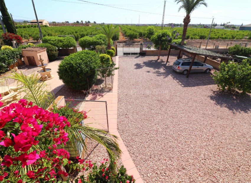 Villa in Albatera Centro