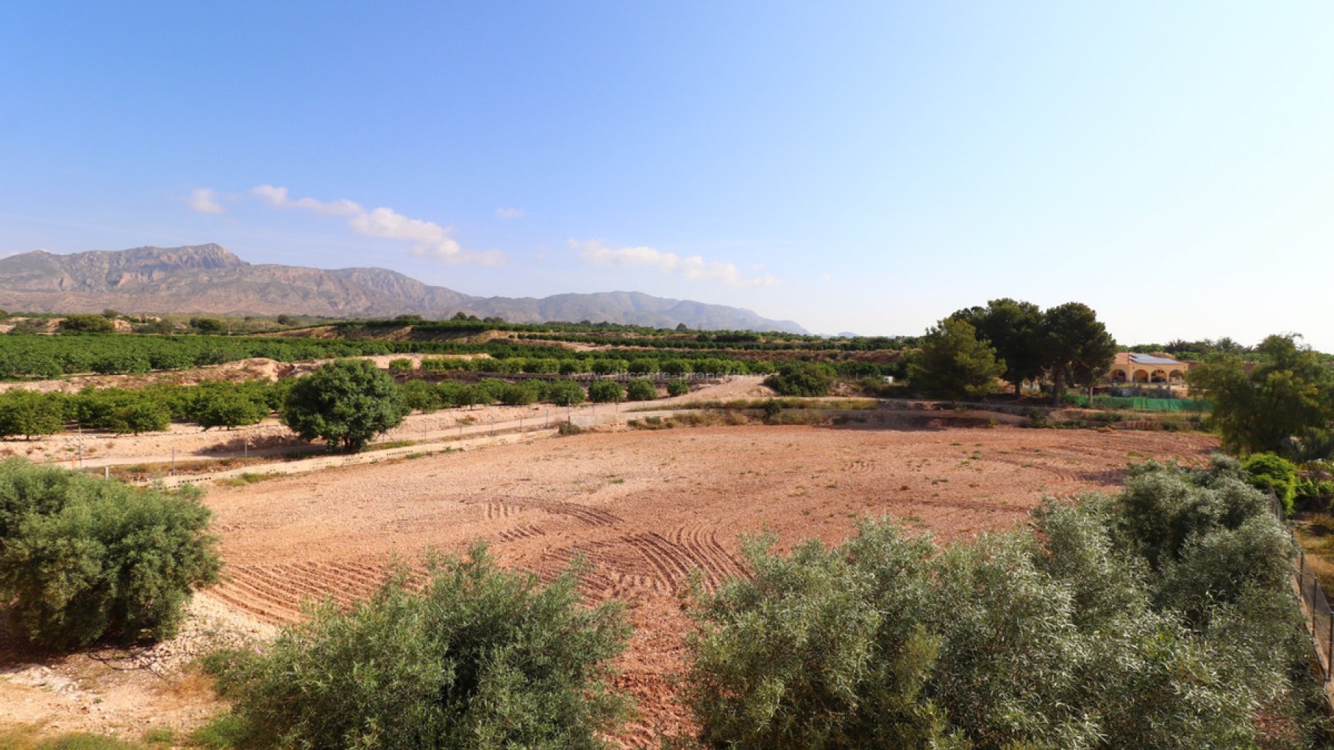 Villa in Albatera Centro