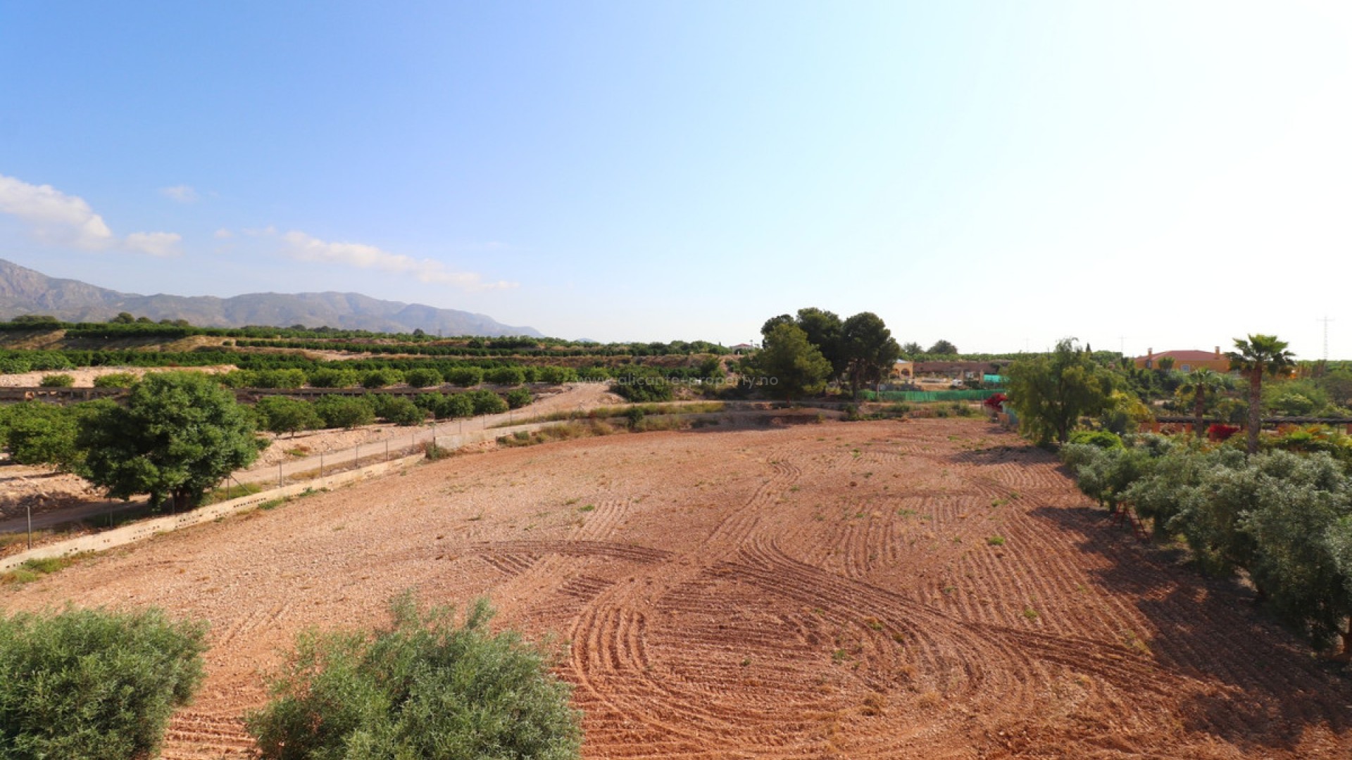 Villa in Albatera Centro