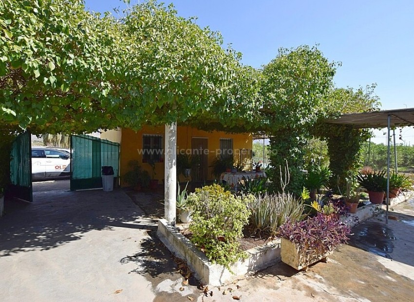 Villa in Albatera Centro