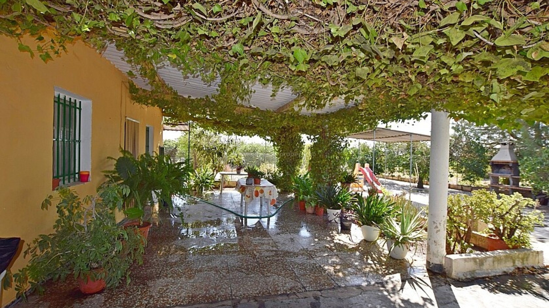 Villa in Albatera Centro