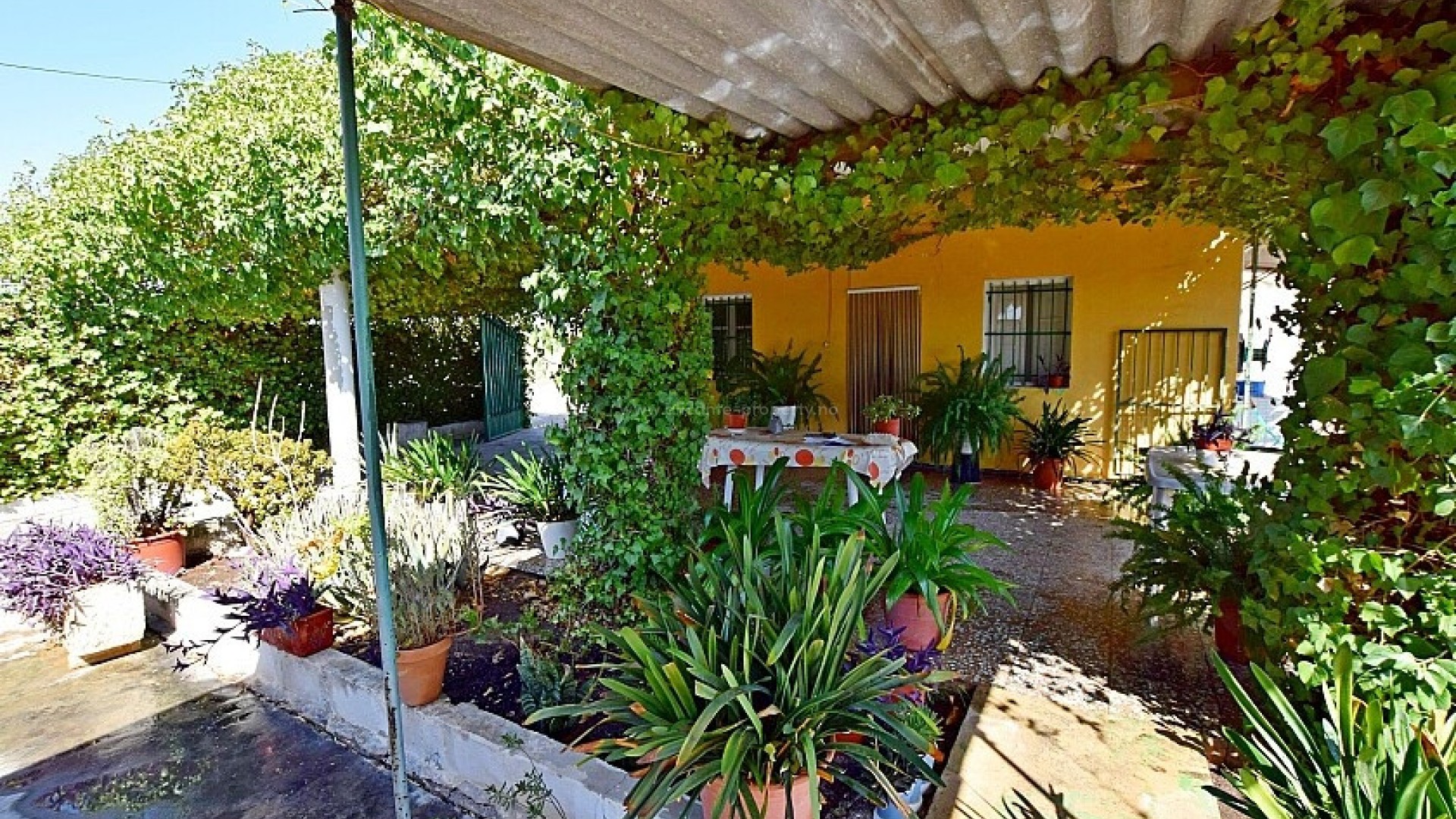 Villa in Albatera Centro