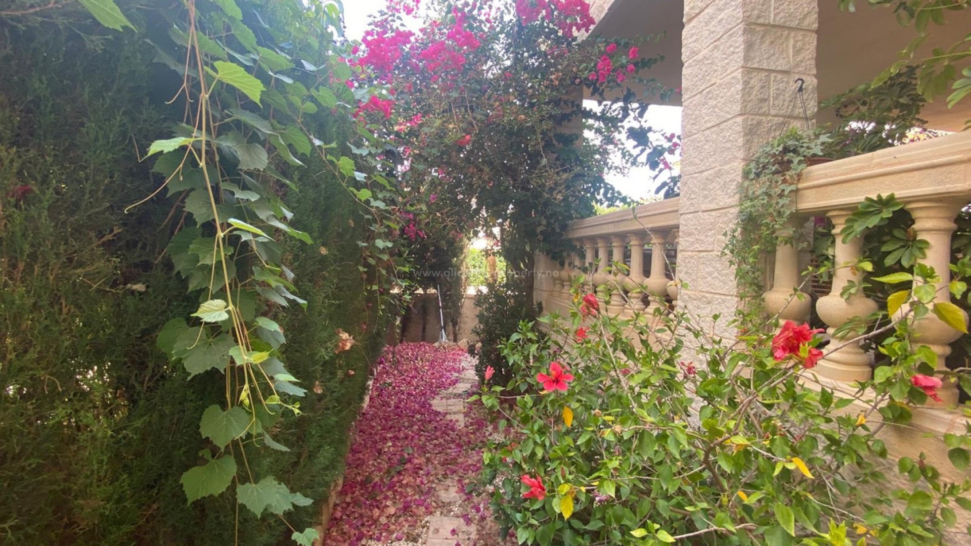 Villa in Albir