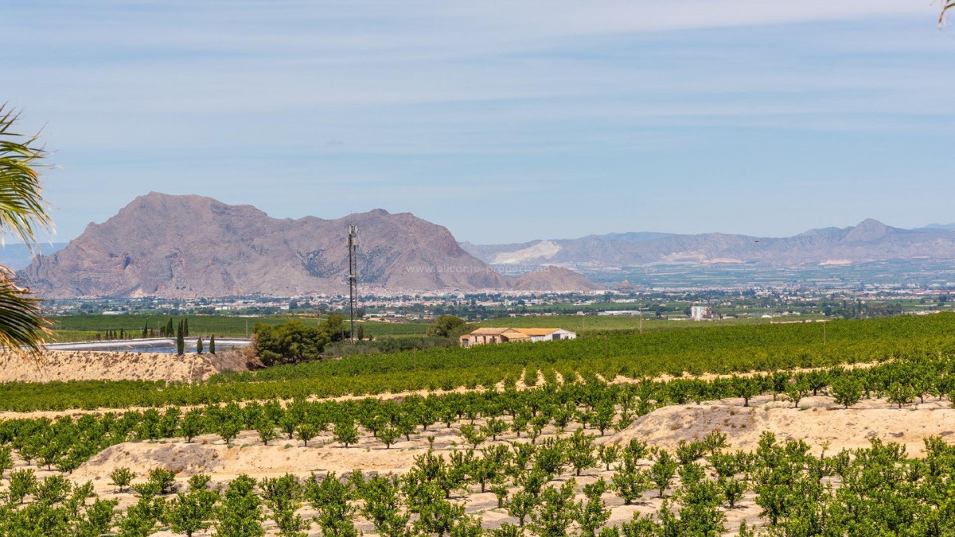 Villa in Algorfa Centro